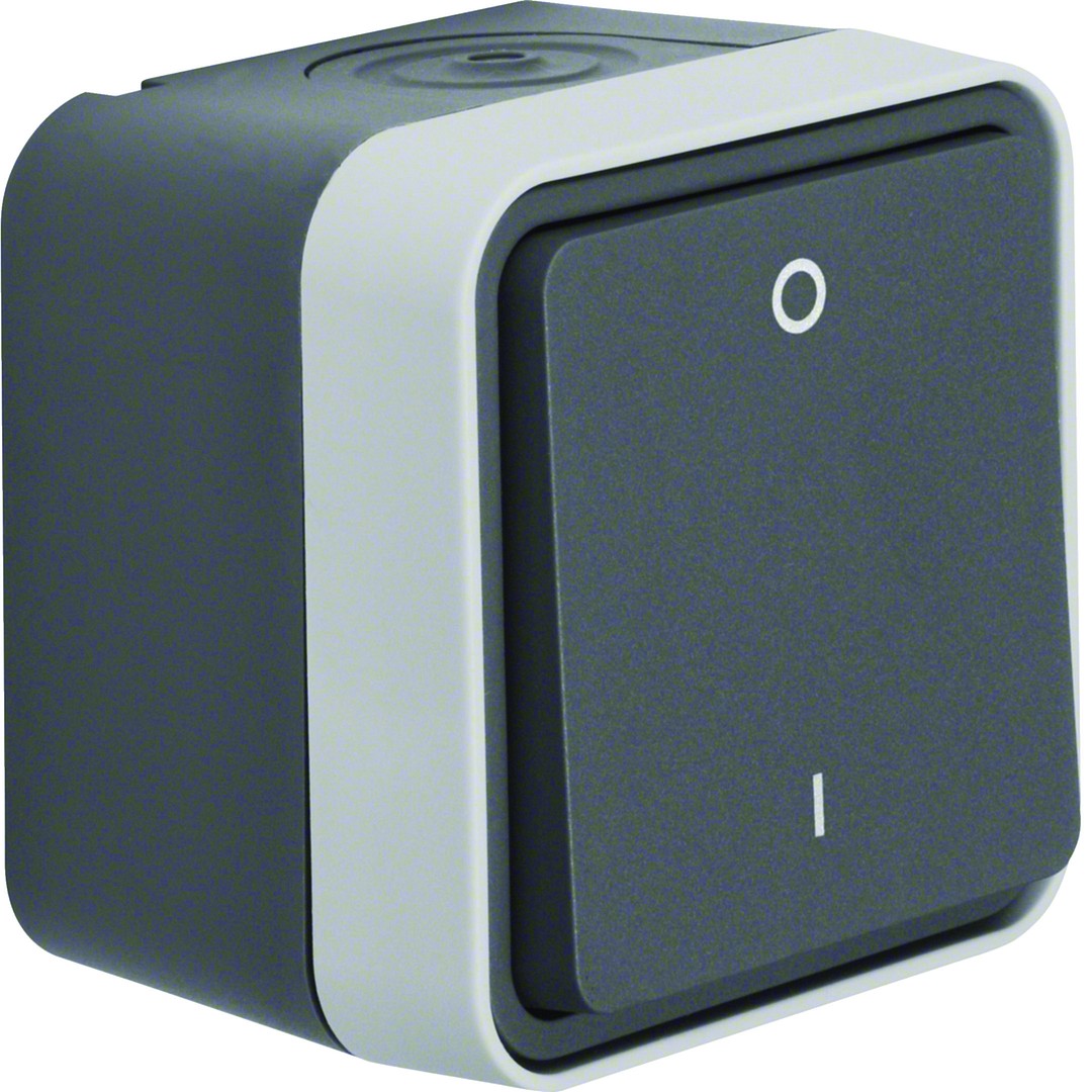 Kytkin 0-1 2-napainen pinta 10AX/250VAC jousiliit. IP55, W.1, harmaa
