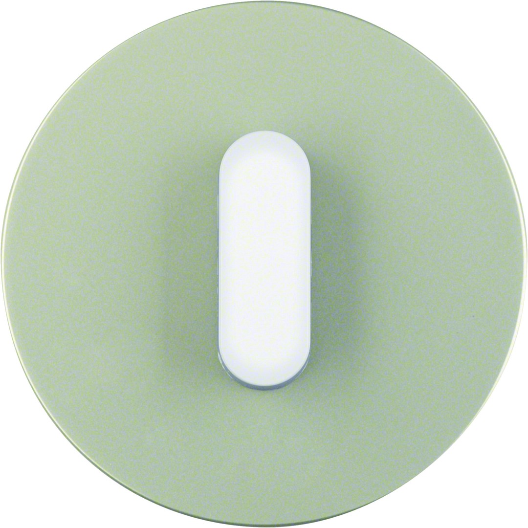 Peitelevy 1-os. väänt. kytk./pain., R.classic, ruostumaton teräs/puhtaanvalk.